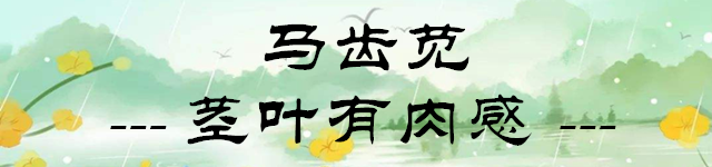[野菜]山东野菜图鉴：春天吃野菜这事儿 北方人很在行