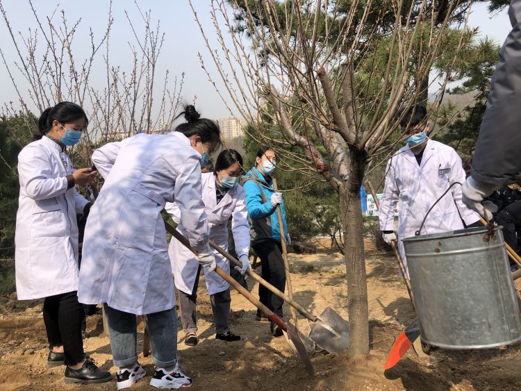 「白衣天使」市南区党员干部群众与白衣天使一起种下一片樱花林