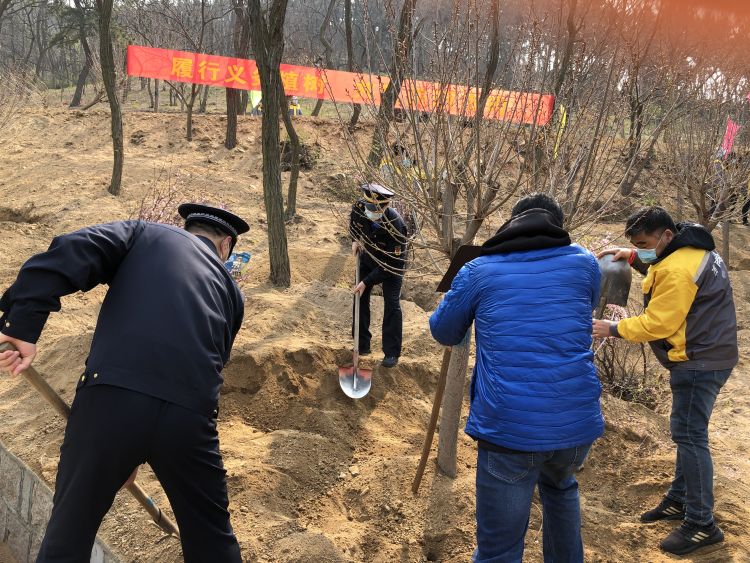 「白衣天使」市南区党员干部群众与白衣天使一起种下一片樱花林