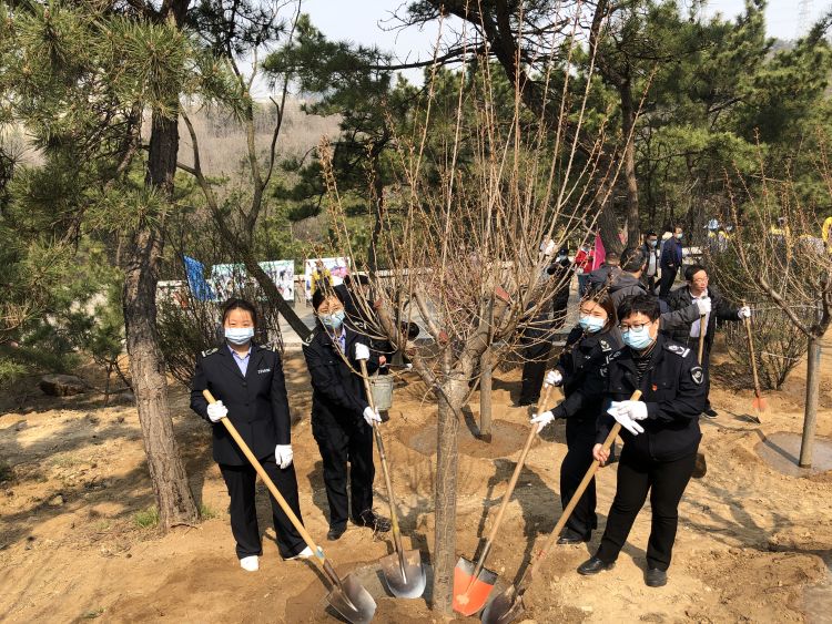 「白衣天使」市南区党员干部群众与白衣天使一起种下一片樱花林