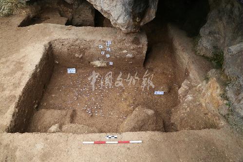 [初评]2019年十大考古新发现初评结果揭晓 山东滕州两项目入围终评