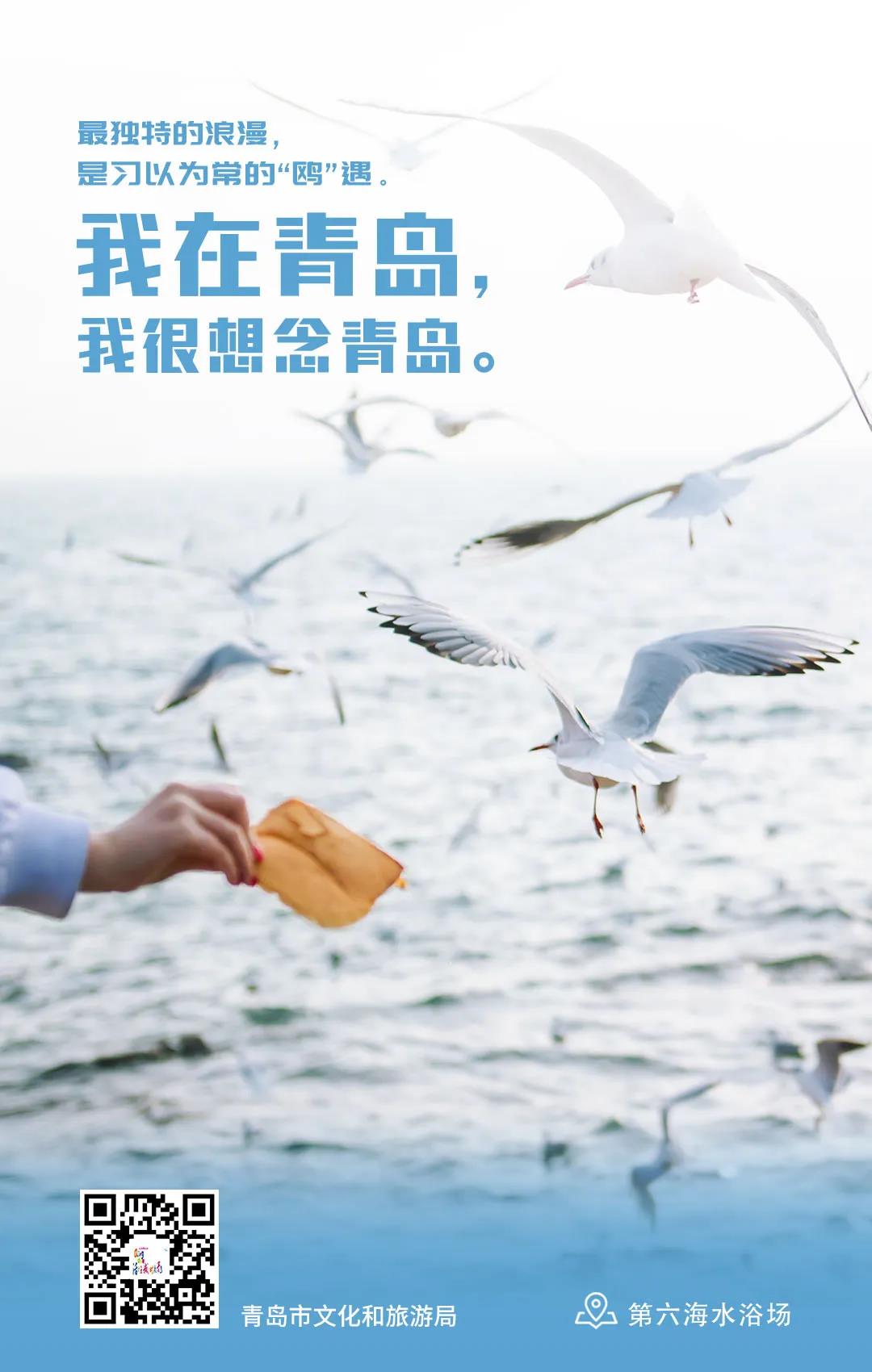 [青岛]我在青岛 我很想念青岛