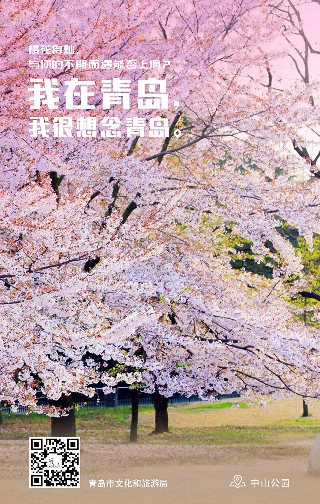 [青岛]我在青岛 我很想念青岛