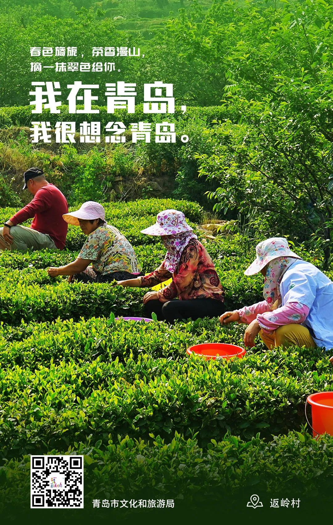 [青岛]我在青岛 我很想念青岛