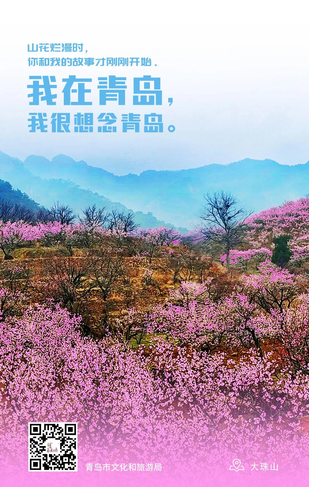 [青岛]我在青岛 我很想念青岛