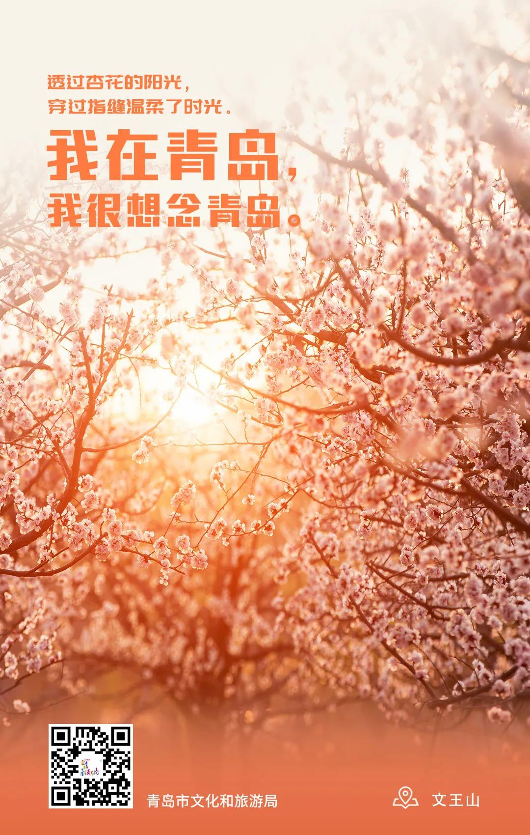 [青岛]我在青岛 我很想念青岛