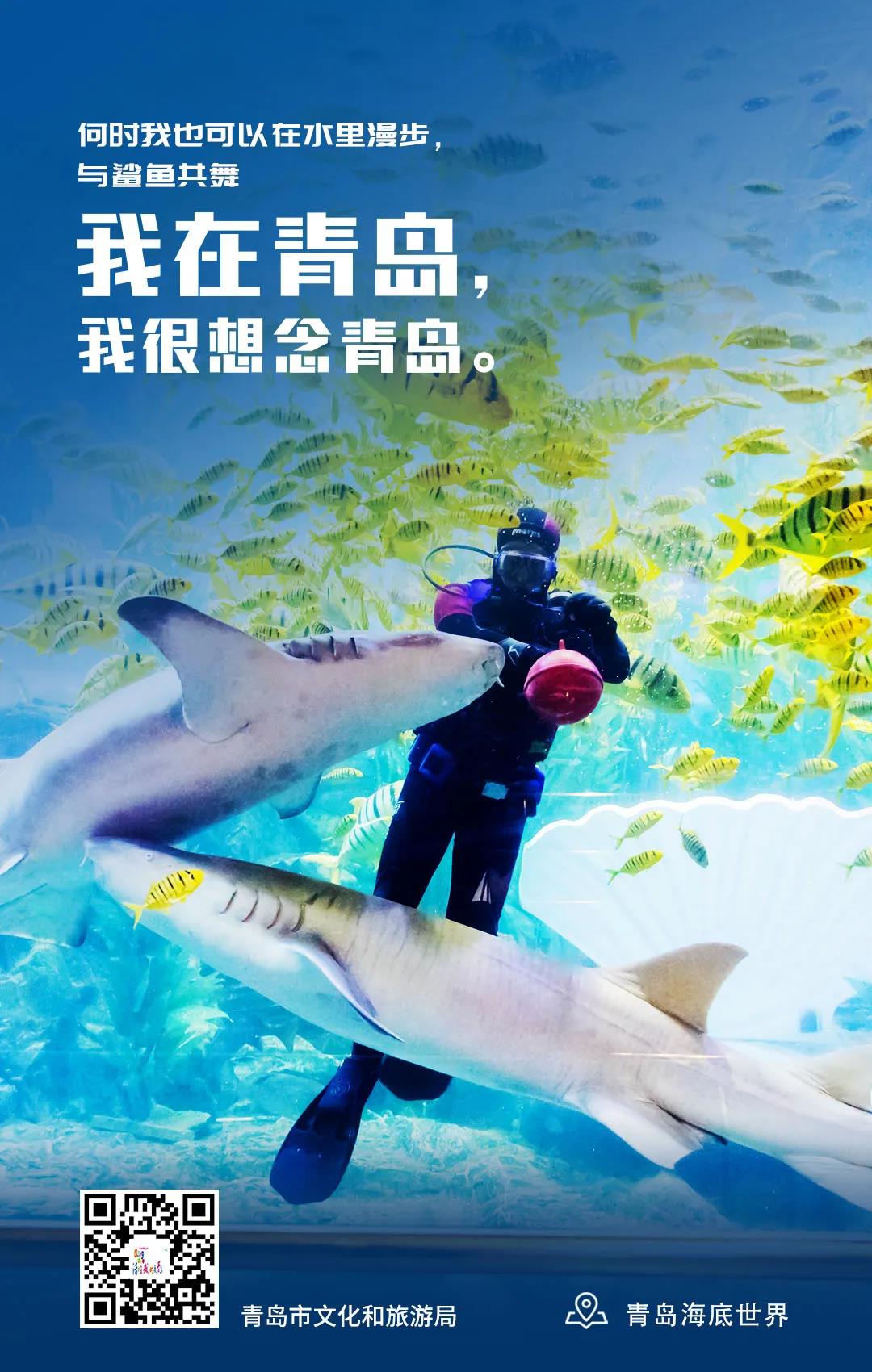 [青岛]我在青岛 我很想念青岛