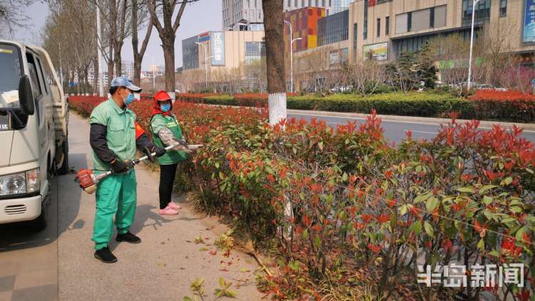 理发■精细化打造一草一木 市北区给路边灌木“理发”了