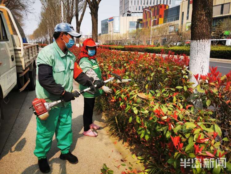 理发■精细化打造一草一木 市北区给路边灌木“理发”了