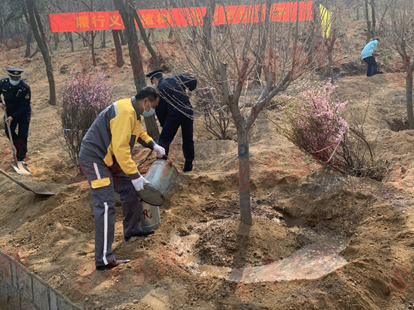 『市南区』市南区组织义务植树活动 白衣天使种下66株樱花树