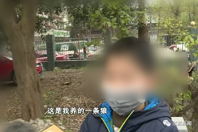 「奶奶」十岁孙子哄奶奶眨眼点头破解人脸识别 充值打游戏花光银行卡里5万多元