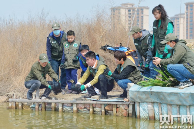 『网具』青岛2020年志愿者护飞行动启动 销毁非法地笼网具100余米