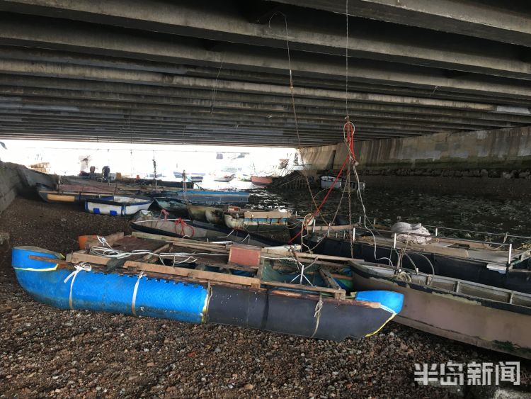 『赶海』不少市民去青岛后海赶海 海鲜一挖一“麻袋”