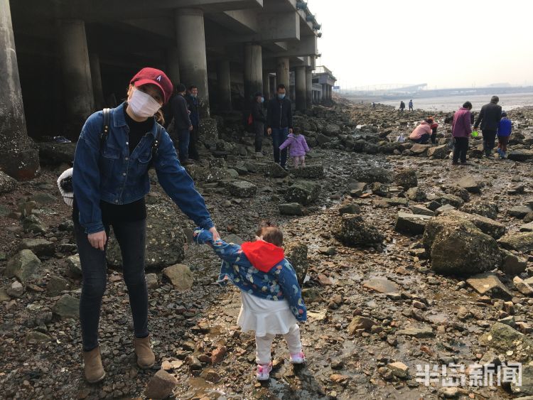 『赶海』不少市民去青岛后海赶海 海鲜一挖一“麻袋”