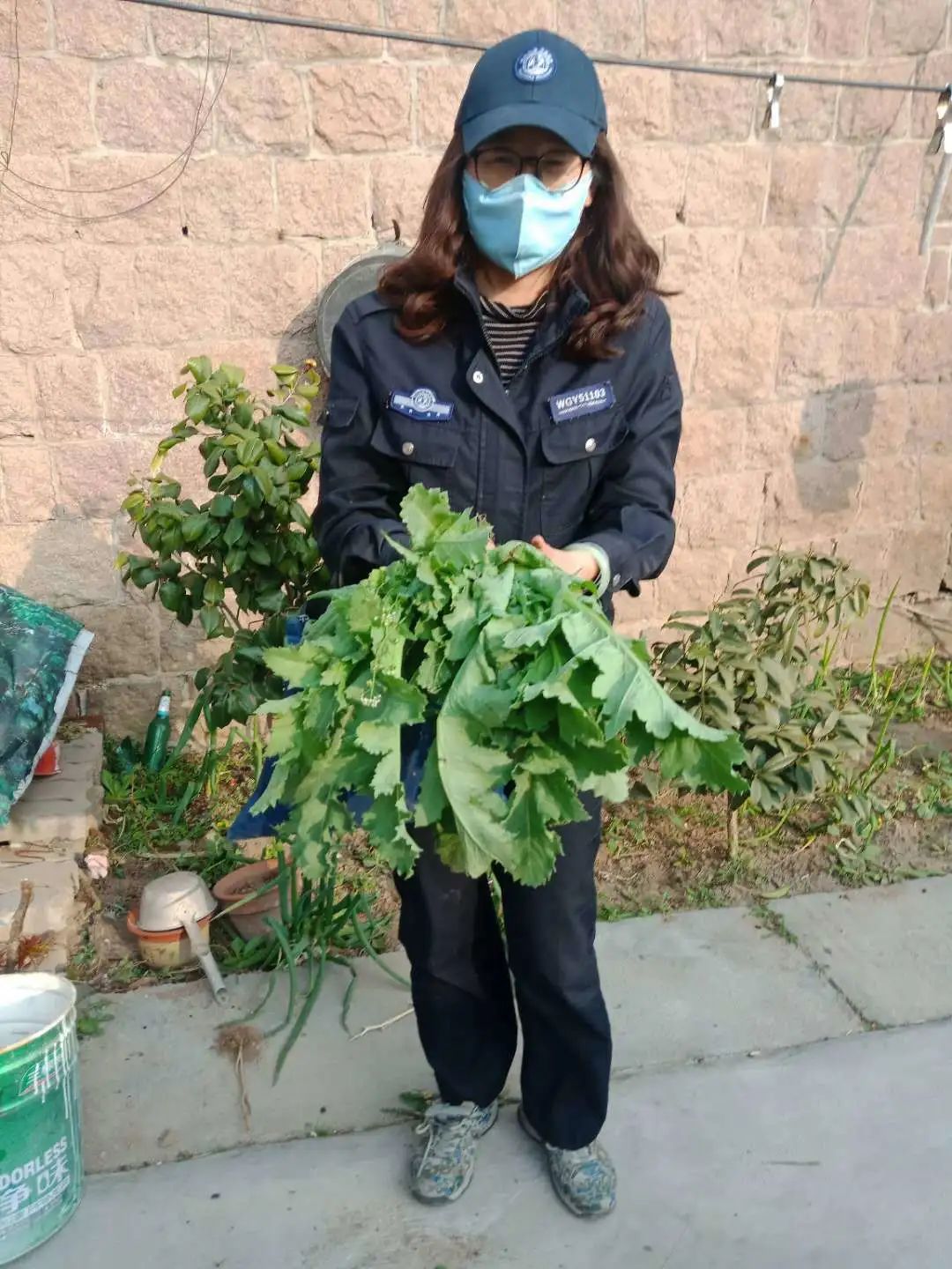 「两不误」崂山网格员在行动：齐头并进广宣传 排查罂粟两不误