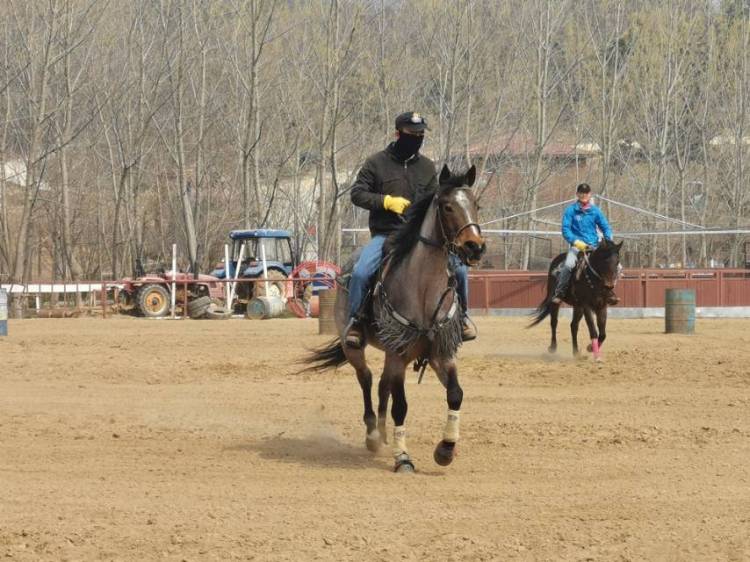 岛城@青岛市文旅局“2020春满岛城”媒体采风行走进即墨 感受泉海、音乐独特魅力