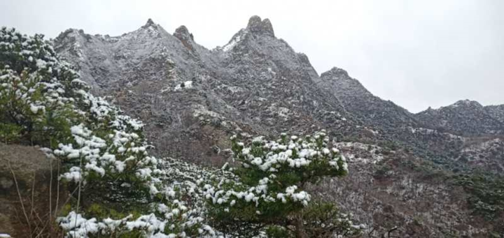 #冰雹#山东开启“四季切换”模式 济南下冰雹烟台下大雪