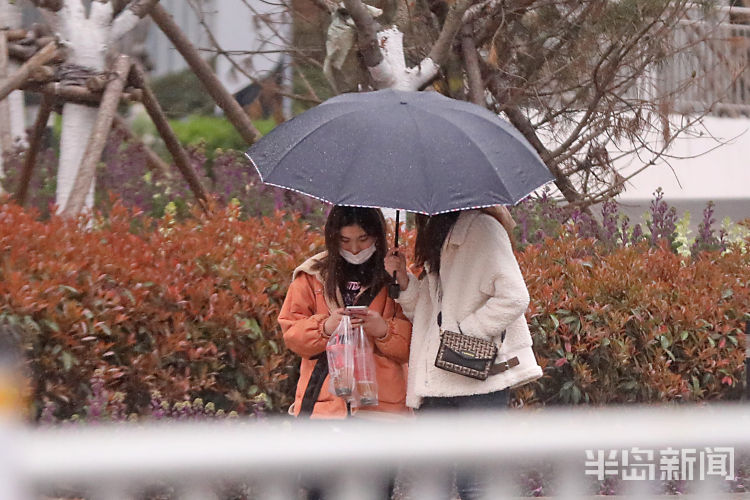 「突至」一场春雨突如其来 青岛市民措手不及