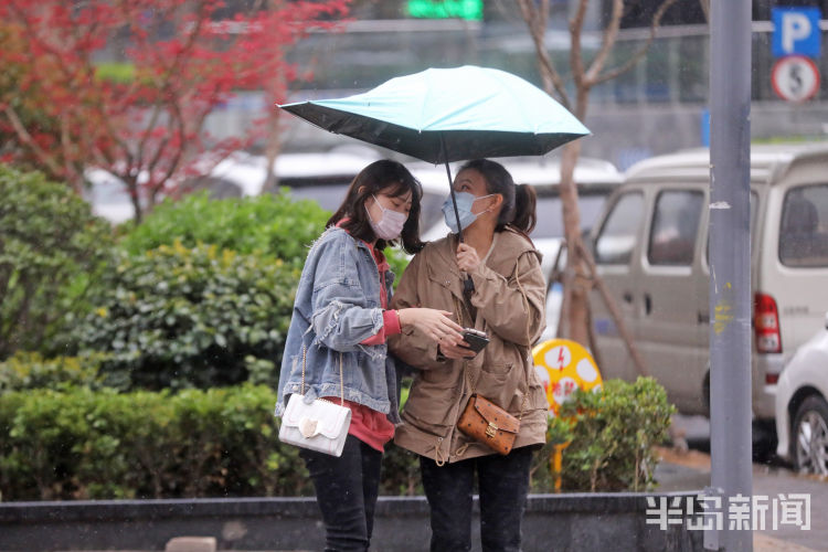 「突至」一场春雨突如其来 青岛市民措手不及