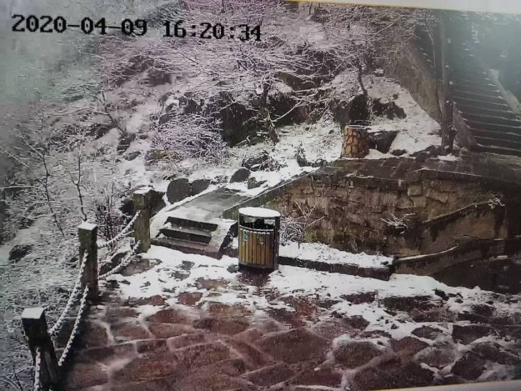 #岛城#人间四月天 山下赏花崂顶赏雪 明后两天青岛还有雨 局部地区有霜冻