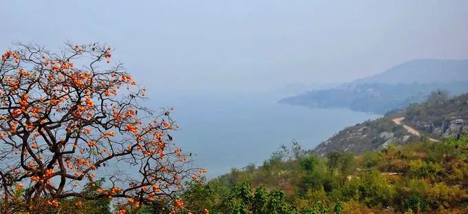 空调车：山东唯一“网红慢火车”升级变身空调车 全程票价还是11.5元