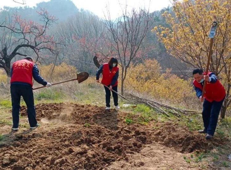 鲅鱼：青岛市滴水真情志愿者买鲜鲅鱼看望新区91岁老人