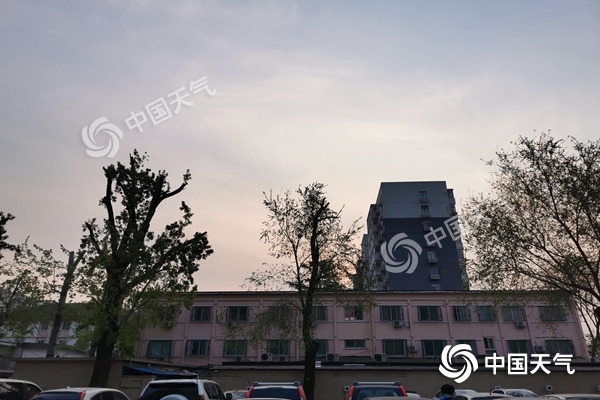 柳絮：北京杨柳飞絮将进入高发期 钟南山解答蚊虫柳絮是否会传播新冠病毒