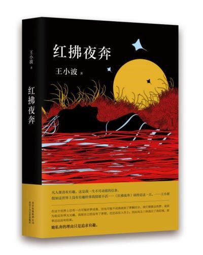 『23』王小波逝世23周年：从15部作品中解读他的诗意与不羁、幽默与荒诞（中）