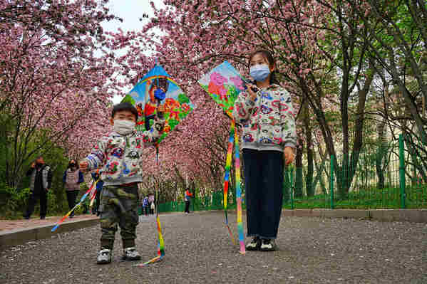 ：青岛李村公园“网红”海棠路 穿越花的隧道