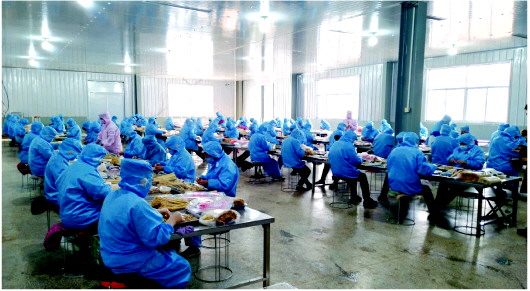 [农家院]疫情期间村民外出务工不便 临沂扶贫车间开进农家院