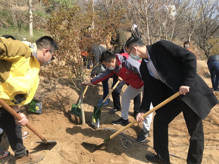 #造绿#民革李沧支部联合多个单位志愿者开展植树造绿活动