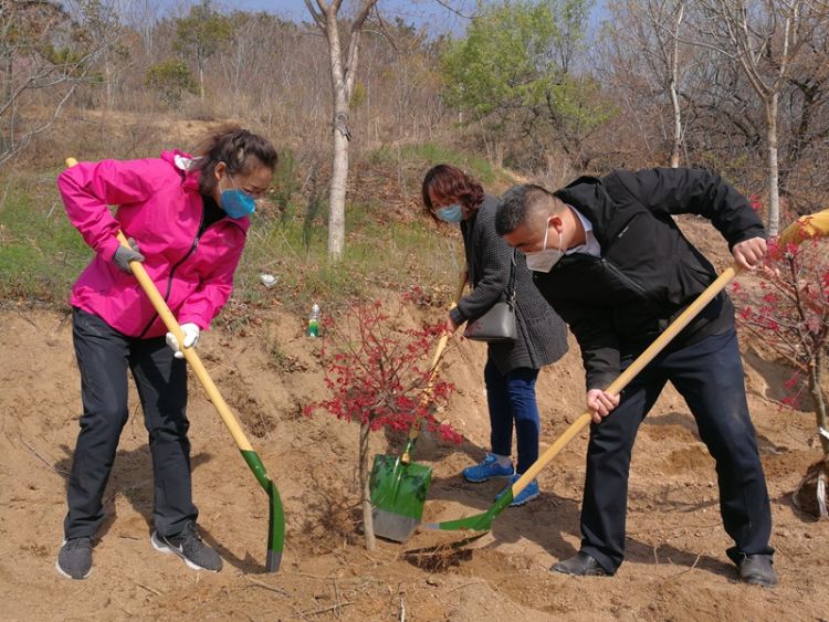 #造绿#民革李沧支部联合多个单位志愿者开展植树造绿活动