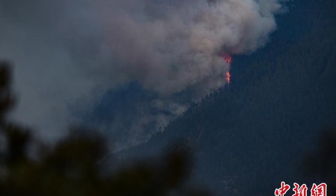 西藏林芝市巴宜区突发森林火灾 正有序扑救暂无伤亡