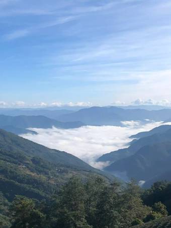 3000@探秘半岛普洱茶基地：3000亩标准现代茶园 打造高品质无污染精品好茶