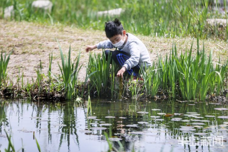 #莫负#阳光灿烂气温上升 青岛市民户外享受怡人春光