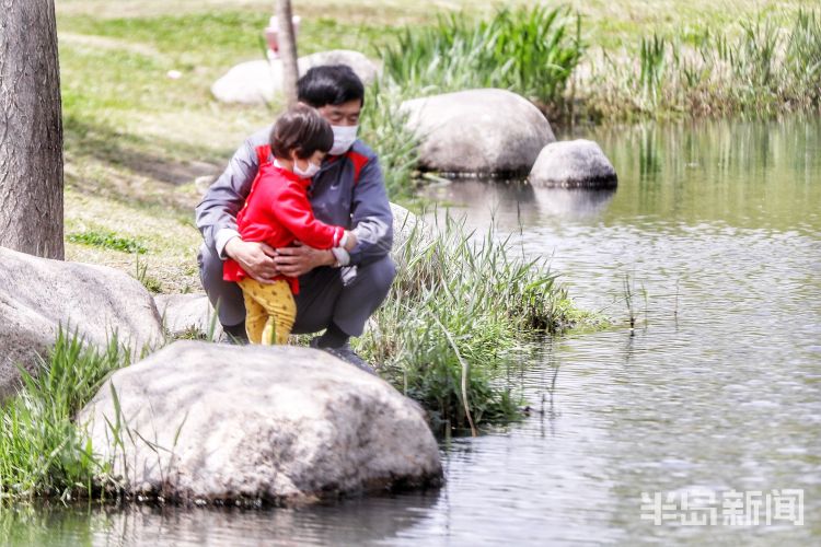 #莫负#阳光灿烂气温上升 青岛市民户外享受怡人春光