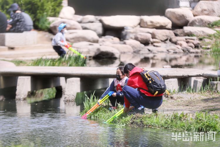 #莫负#阳光灿烂气温上升 青岛市民户外享受怡人春光