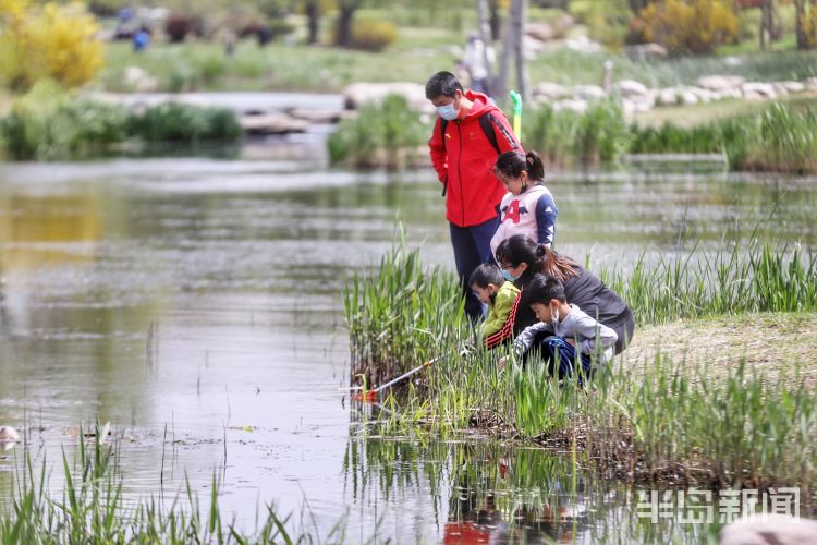 #莫负#阳光灿烂气温上升 青岛市民户外享受怡人春光