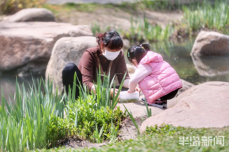 #莫负#阳光灿烂气温上升 青岛市民户外享受怡人春光