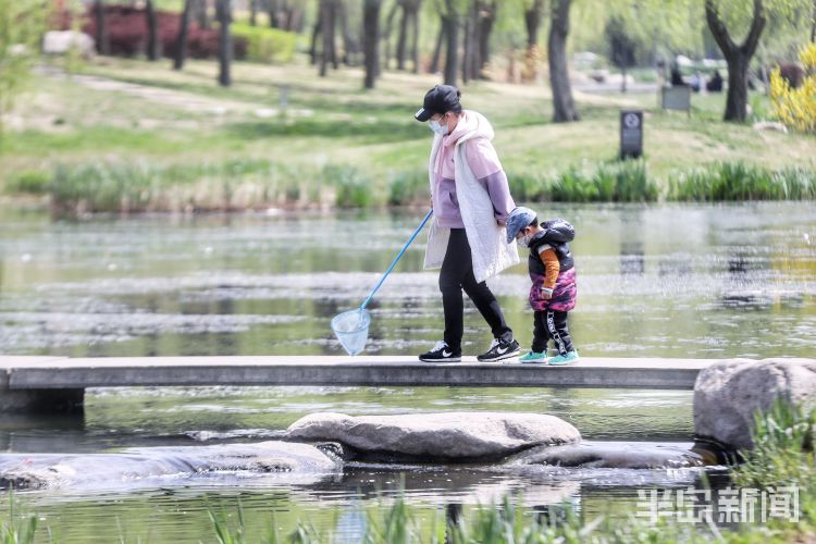 #莫负#阳光灿烂气温上升 青岛市民户外享受怡人春光