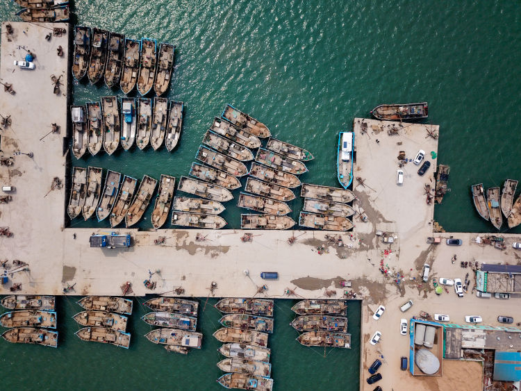 『海蛎子』红岛渔港码头：船只归港 海蛎子、蛤蜊“上岸”