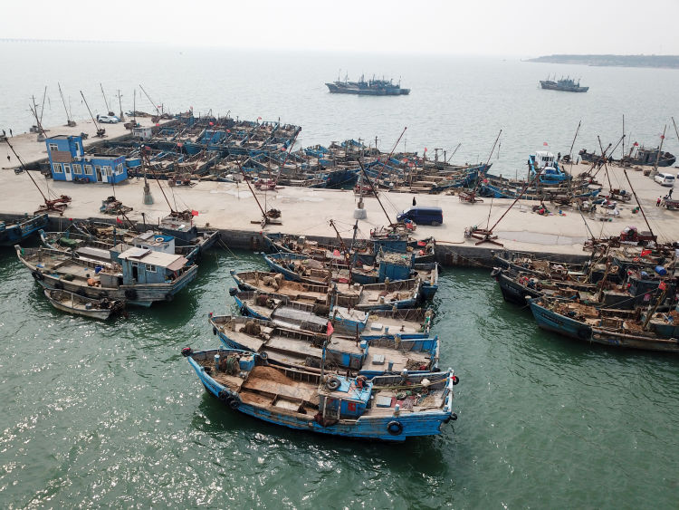 『海蛎子』红岛渔港码头：船只归港 海蛎子、蛤蜊“上岸”