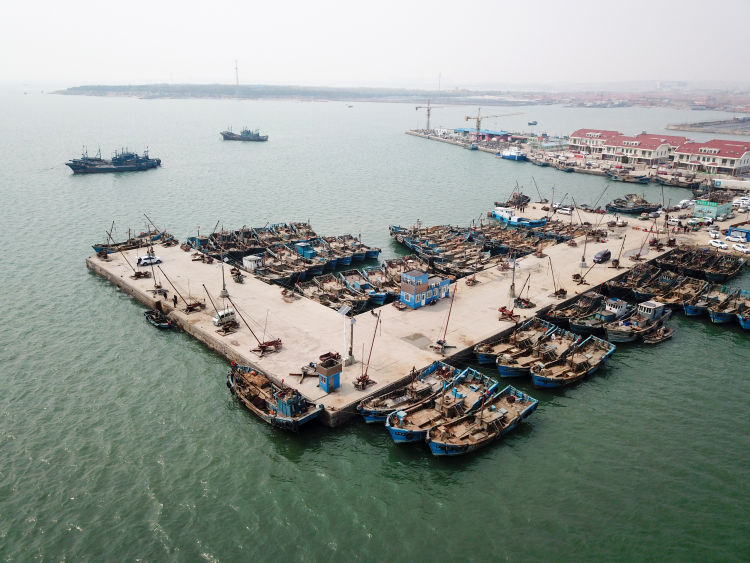 『海蛎子』红岛渔港码头：船只归港 海蛎子、蛤蜊“上岸”