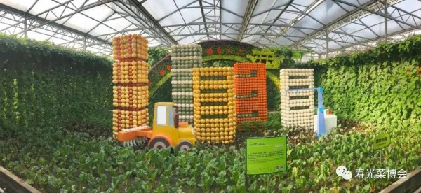 「20」寿光：菜博会今日开幕 20年老字号上“云”有了“新玩法”