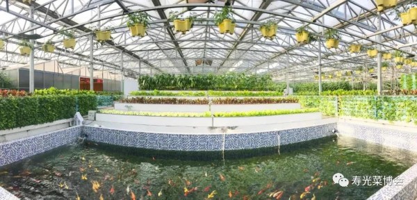 「20」寿光：菜博会今日开幕 20年老字号上“云”有了“新玩法”