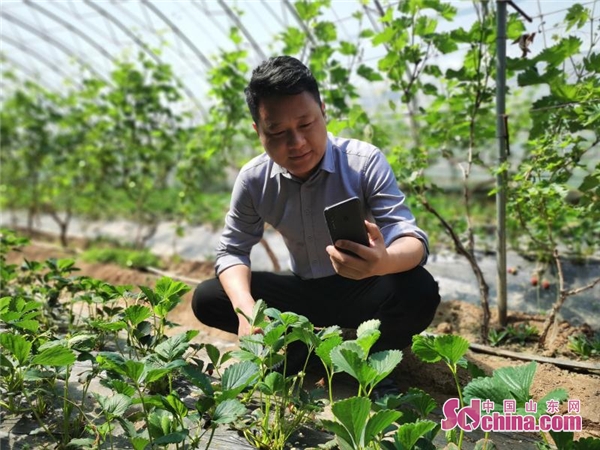 赋能■网络直播、线上揽客 山东各地深化“乡村赋能”打赢脱贫攻坚战