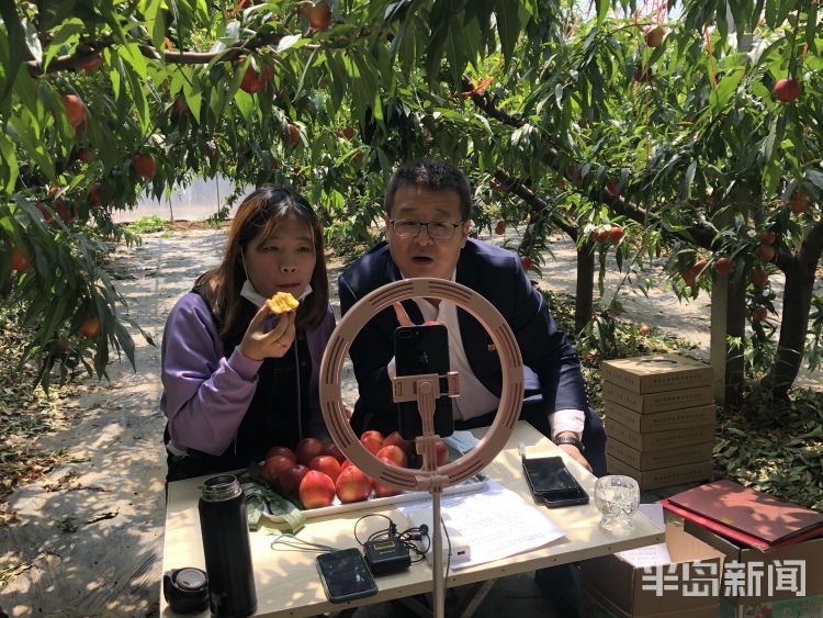 『快手』平度白沙河街道办事处主任和本土快手“网红”直播带货 两小时卖出油桃千余斤