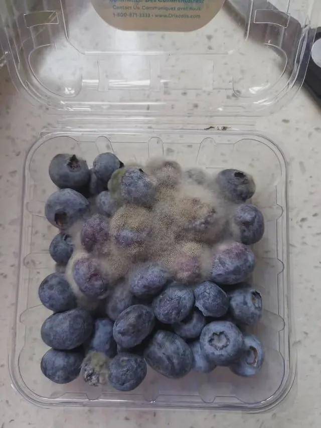 ■女护士援鄂67天回家后惊呆 网友：同一个世界同一个老公