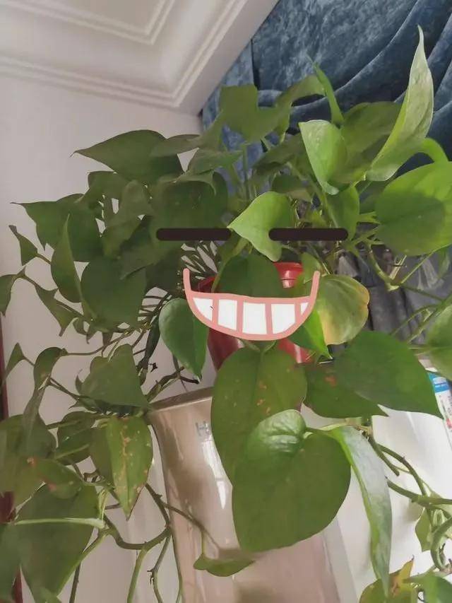 ■女护士援鄂67天回家后惊呆 网友：同一个世界同一个老公