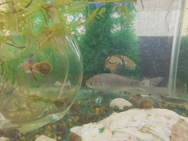 ■女护士援鄂67天回家后惊呆 网友：同一个世界同一个老公